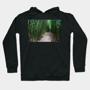 Boardwalk Through Bamboo Pipiwai Trail Hakeakala National Park Kipahulu Hoodie